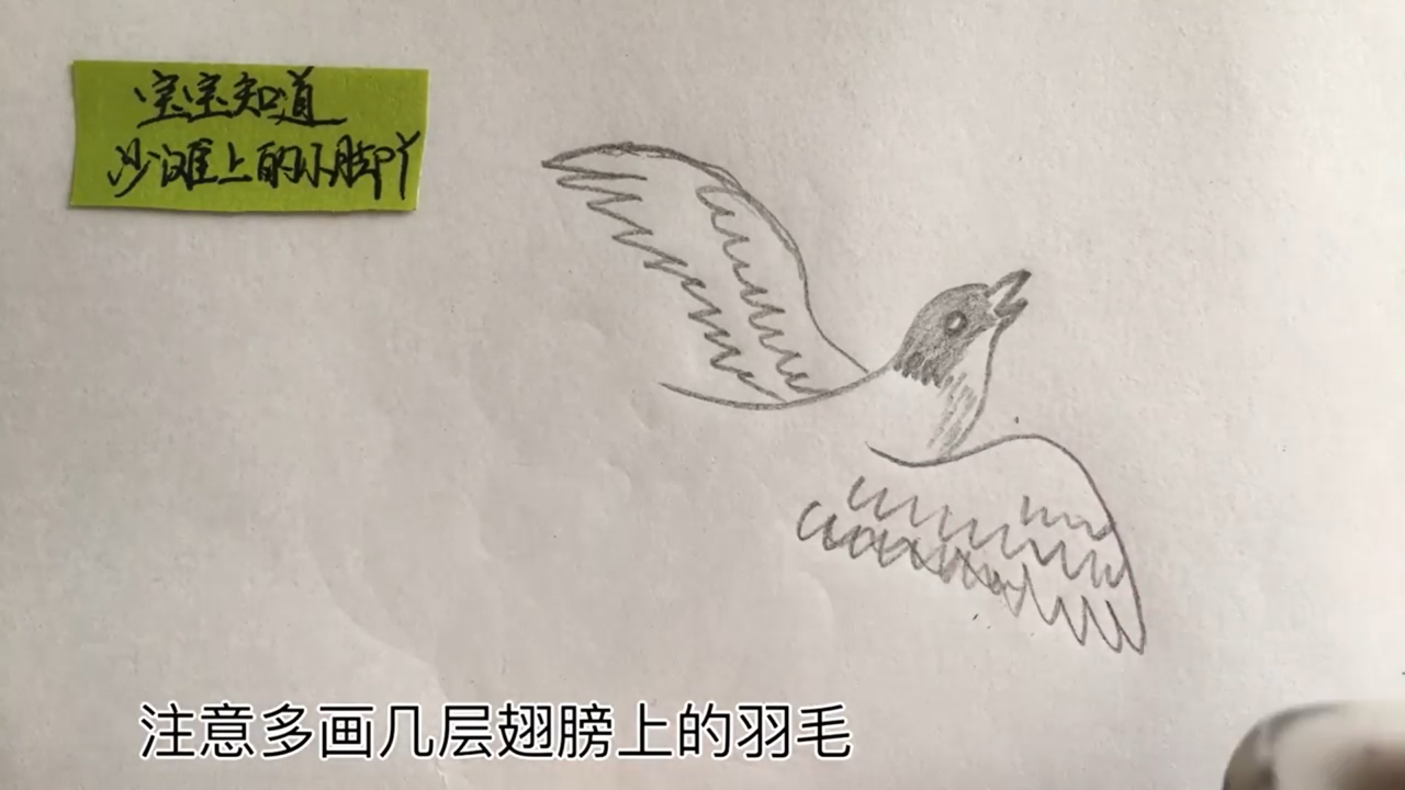 长尾巴鸟简笔画怎么画