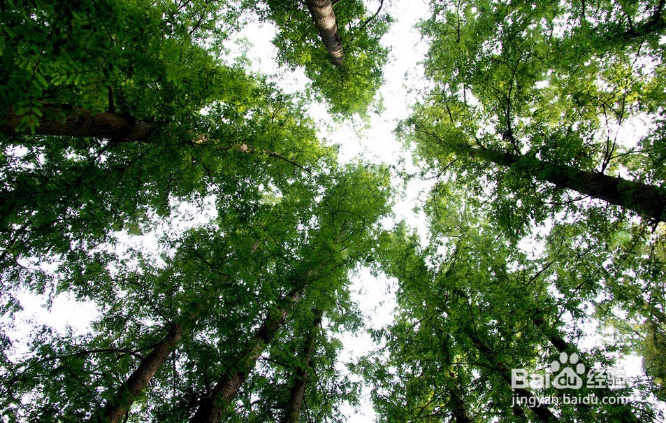 怎么控制自己情绪