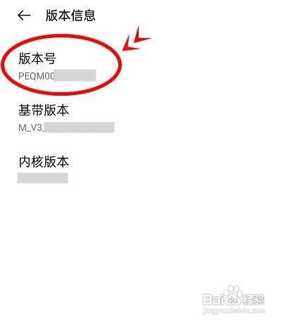 opporeno6pro手机的开发者选项在哪设置