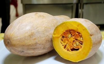 家养小兔子的方法