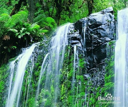 放假旅游应注意什么