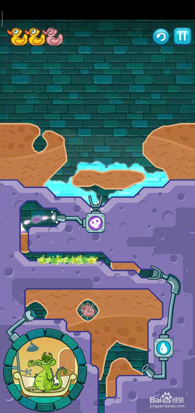 小鳄鱼变化是好事“无惧毒水”怎么打