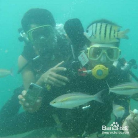 北海市涠洲岛潜水