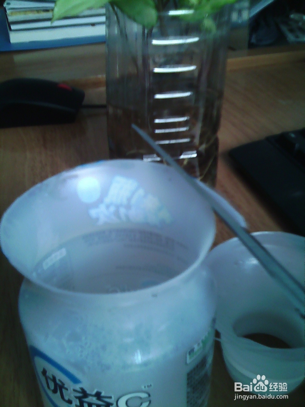 生活经验-怎么制作环保清洁球-省钱攻略