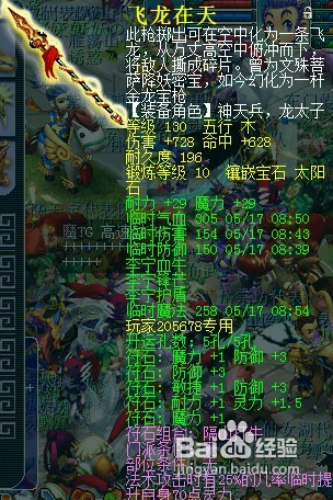梦幻西游专用装备