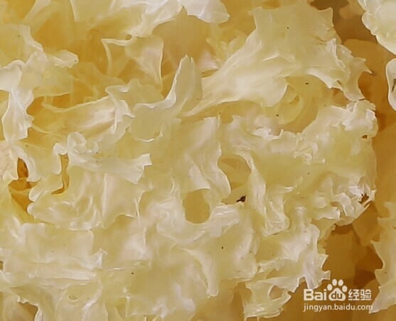 如果给肺做“清洁”---润肺化痰粥