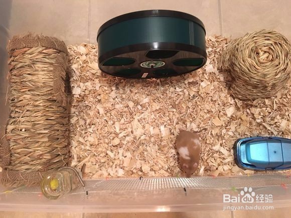 怎样用整理箱DIY制作一个仓鼠笼？