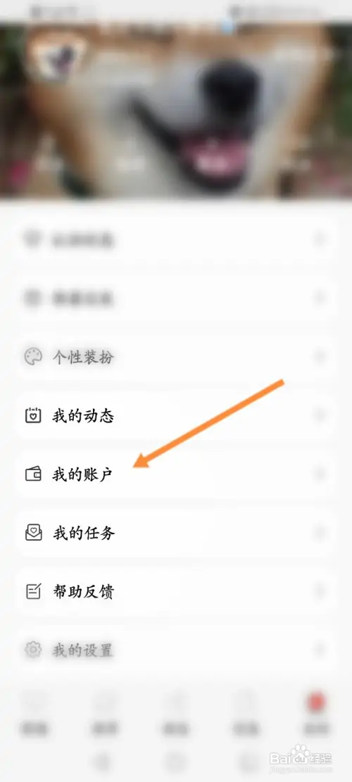 探遇漂流瓶在哪进行充值