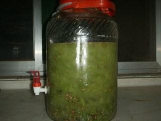 土方法制葡萄酒