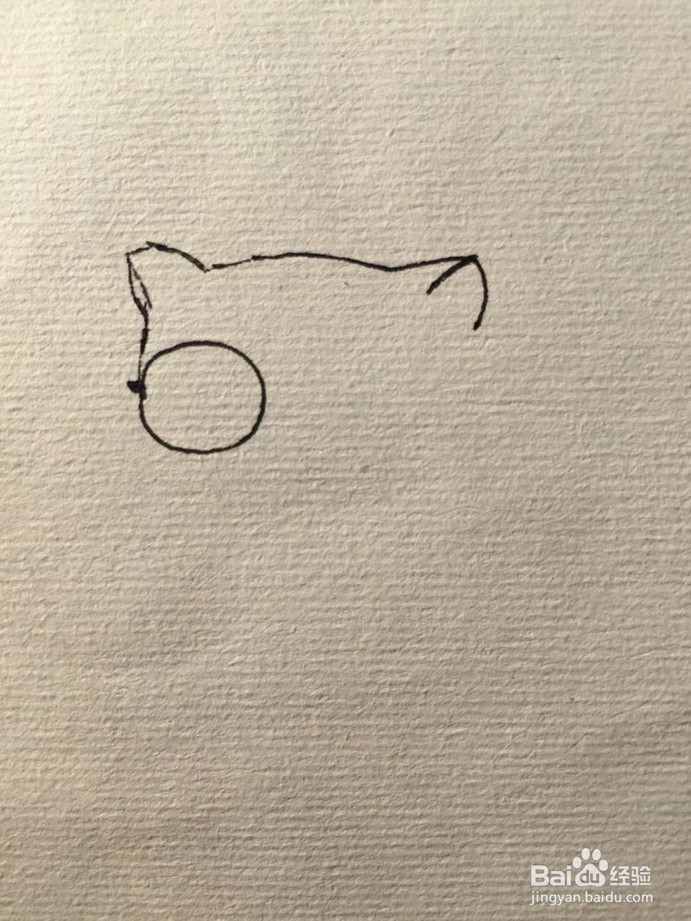 茉莉手绘之猫咪