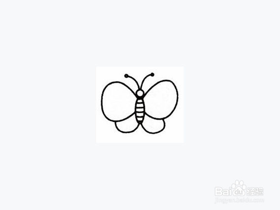 美丽蝴蝶简笔画