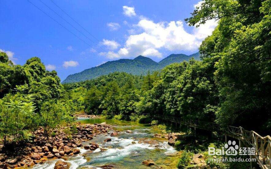 日本自驾游旅游攻略