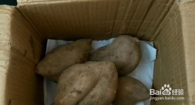 红薯家庭保存方法