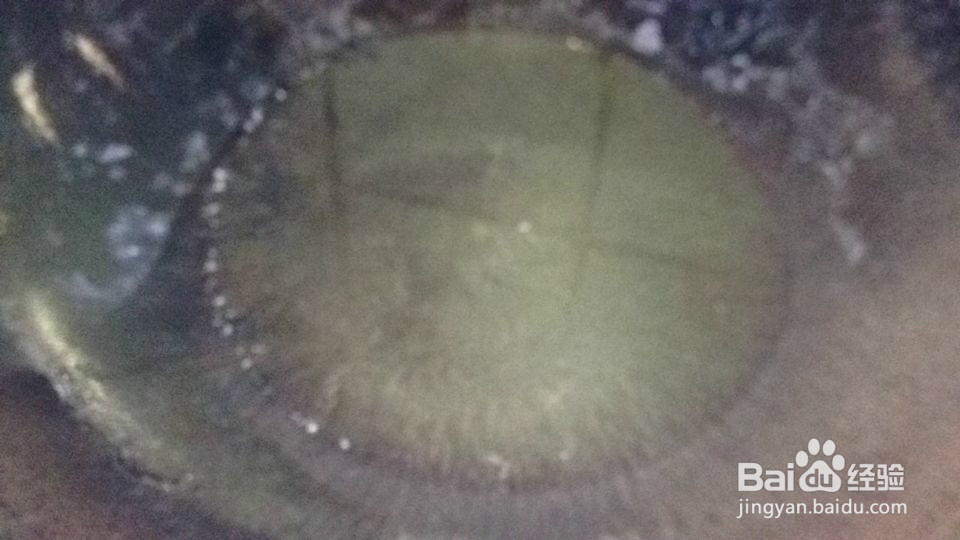 #过年#怎么样做红烧茄子好吃