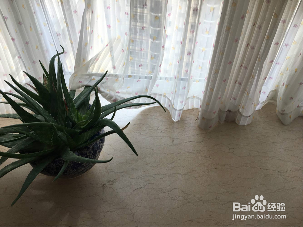 如何防止 飘窗 脏