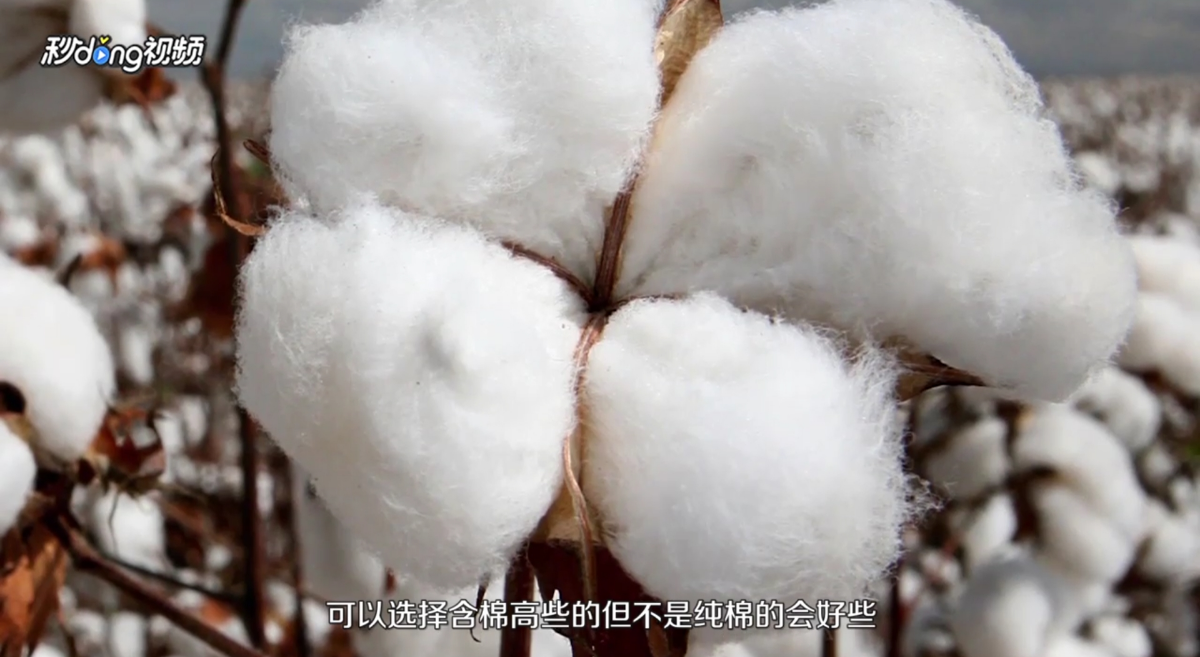 t恤领子变形怎么办