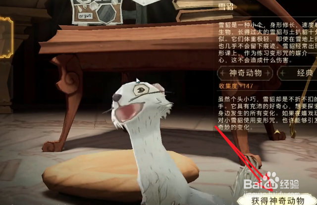 哈利波特魔法觉醒雪貂神奇动物怎么获得