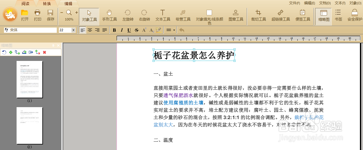 pdf如何调整字号