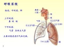 如何认识多喝水的重要性和怎样去正确的喝水