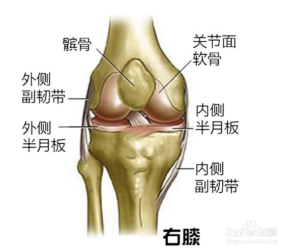 新手骑行，注意事项 - 保护膝盖
