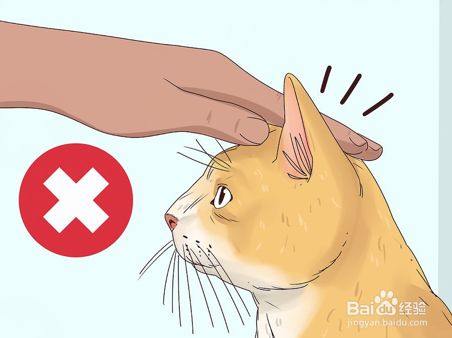 教你3种方法快速撸猫