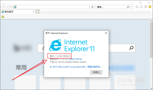 怎么查看IE浏览器的版本