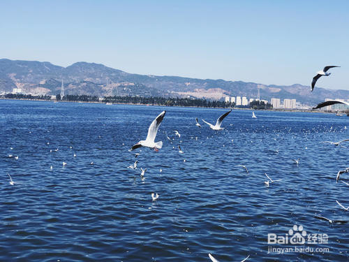 到云南旅游，有哪些值得去的景点呢？