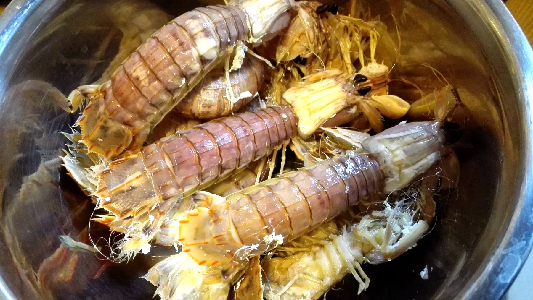 皮皮虾饺子大放送！不要舔屏幕哦！