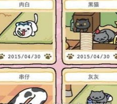 猫咪后院怎么吸引猫后院收集攻略