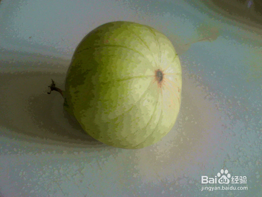 #智能# 老年人用相机捕捉甲克虫吃香瓜的画面