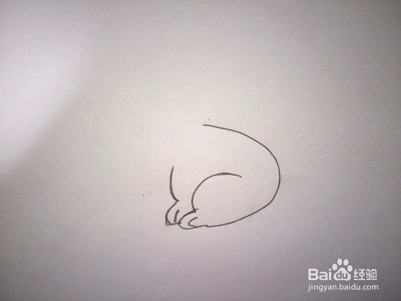 简笔画—小白兔的画法