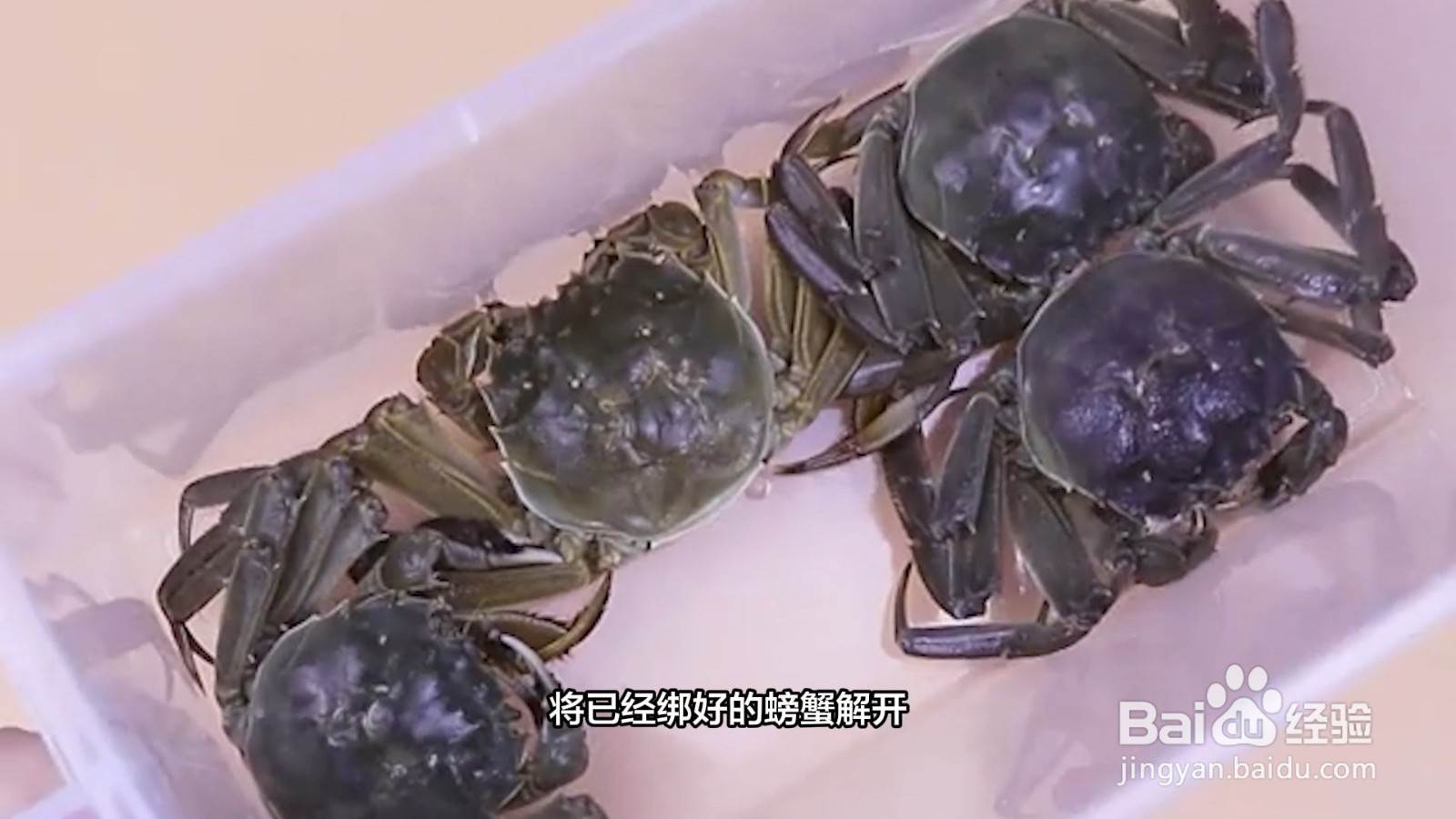 大闸蟹活的如何保存