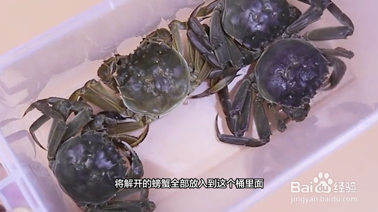 活螃蟹如何保存