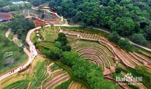 增城二龙山景区攻略