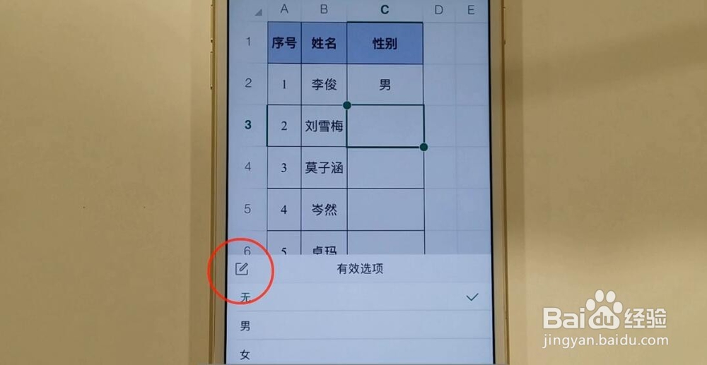 如何在苹果手机WPS的下拉列表中输入其他内容