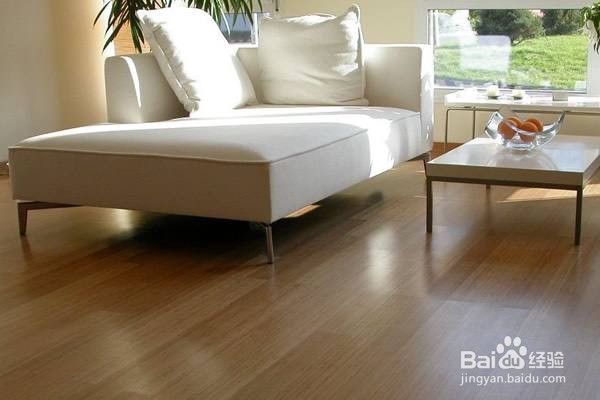 冬天如何去除房间内的湿气?