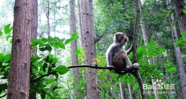 张家界旅行住宿