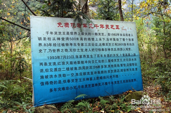 张家界防坑骗攻略