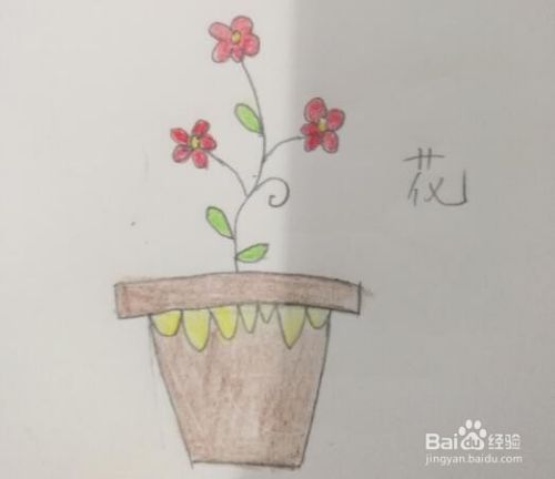 如何画盆栽花 百度经验 如何画盆栽花 百度经验