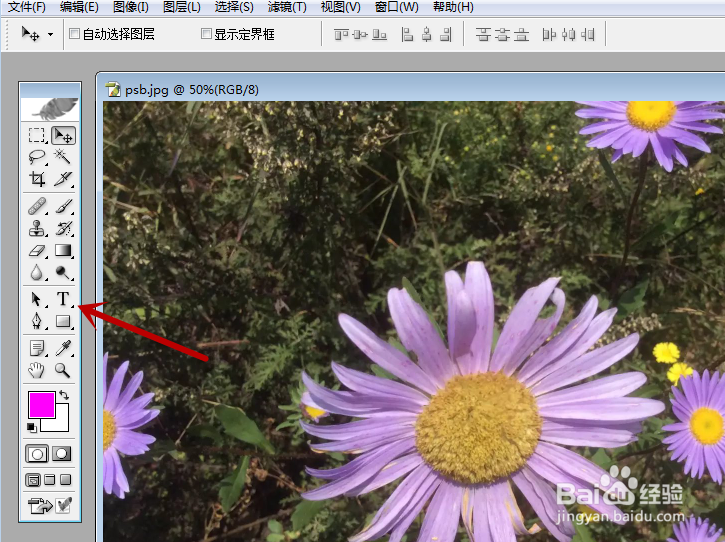 怎么样才能用PS在图片上添加所需的文字