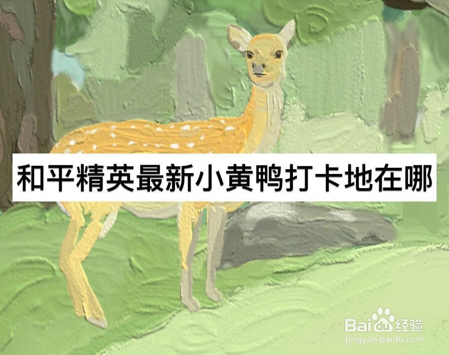 和平精英最新的小黄鸭打卡地在哪