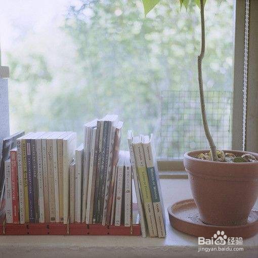 怎么让自己坚持读书