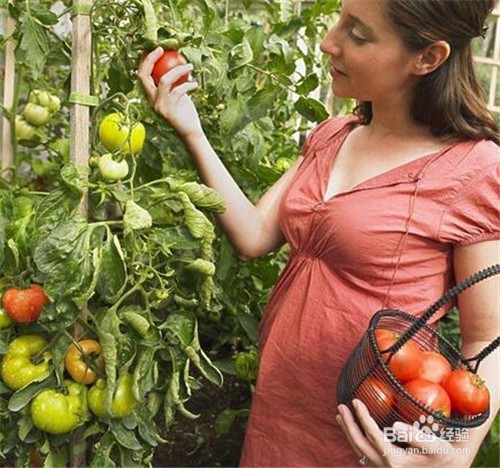 要怎样度过怀孕前三个月？