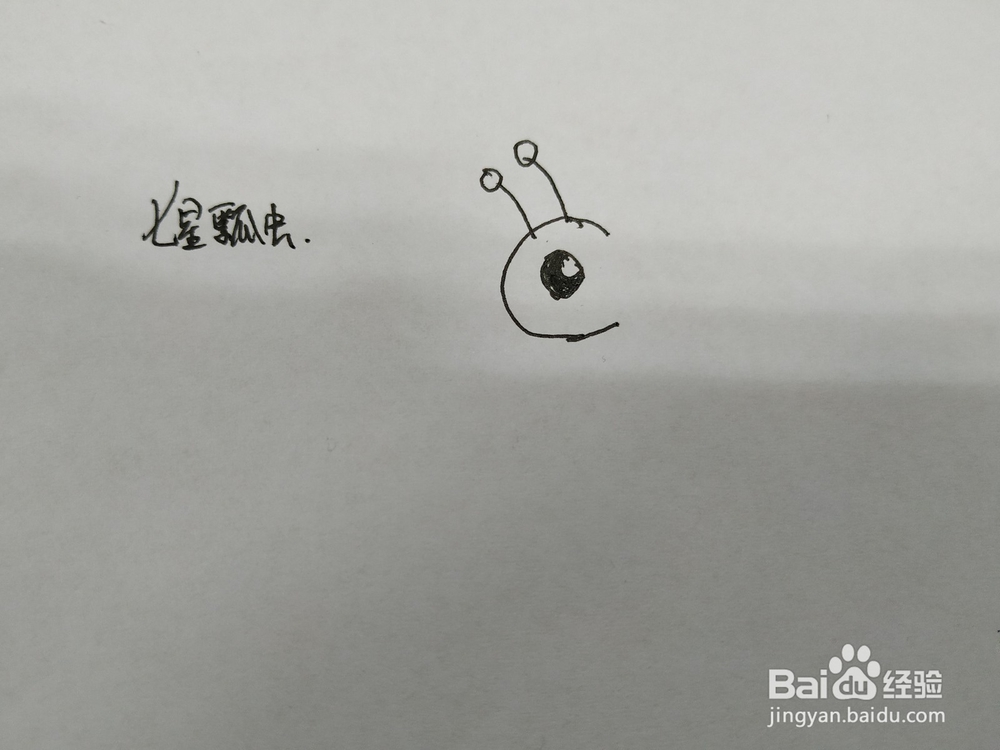 七星瓢虫简笔画怎么画,怎么画七星瓢虫