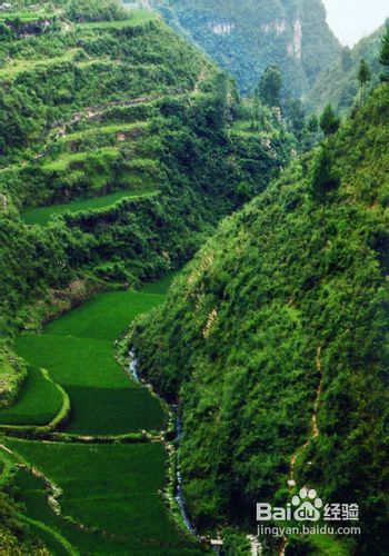 天津到张家界旅游小贴士