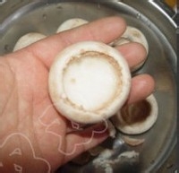 巧夺天工的白玉镶金