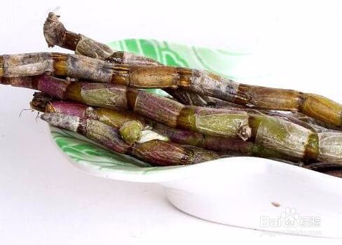 铁皮石斛怎么保存