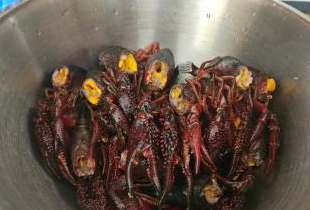 麻辣小龙虾怎么做