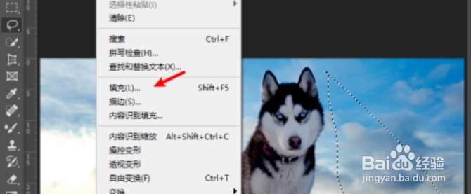 Ps怎么局部填充