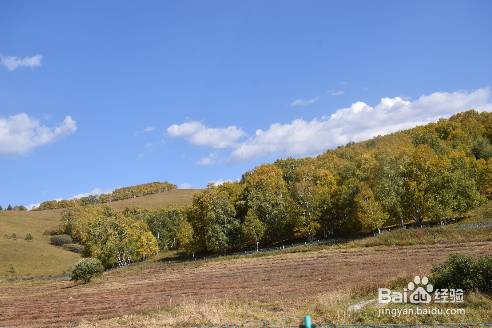 坝上草原民宿推荐，精品民宿价格